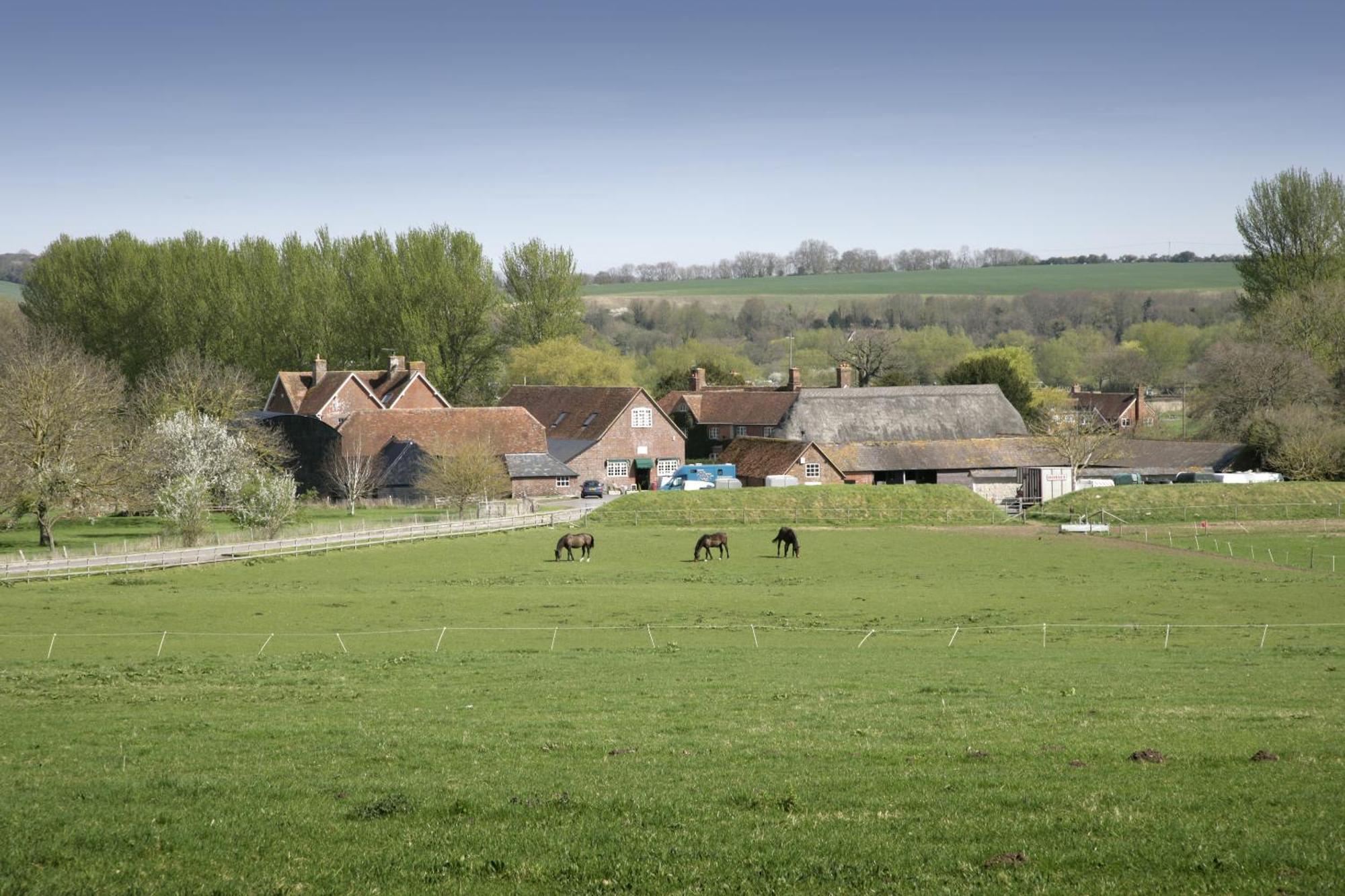 The Old Stables Self Catering Villa Salisbury Bagian luar foto